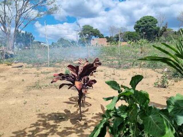 #3515 - Lote para Venda em Bom Jesus do Amparo - MG - 3