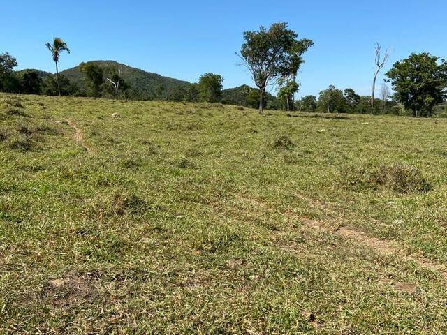 #4031 - Fazenda para Venda em Paracatu - MG - 3