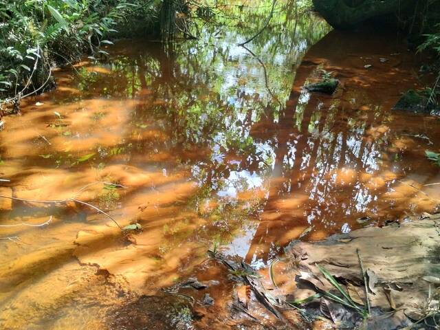 #4090 - Terreno para Venda em Bom Jesus do Amparo - MG - 3