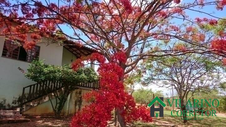 Fazenda à venda com 3 quartos, 600m² - Foto 5