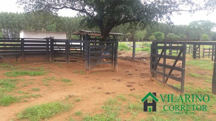 Fazenda à venda com 3 quartos, 800m² - Foto 50