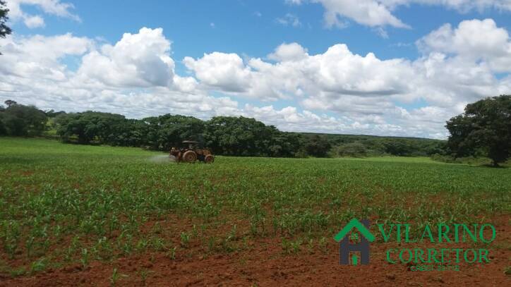 Fazenda à venda com 3 quartos, 800m² - Foto 36