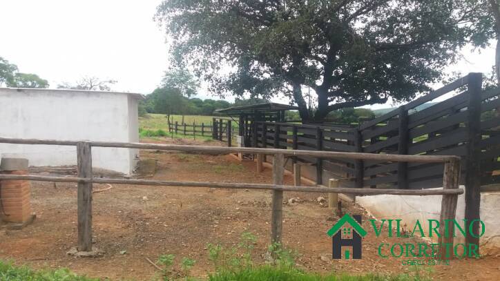 Fazenda à venda com 3 quartos, 800m² - Foto 56