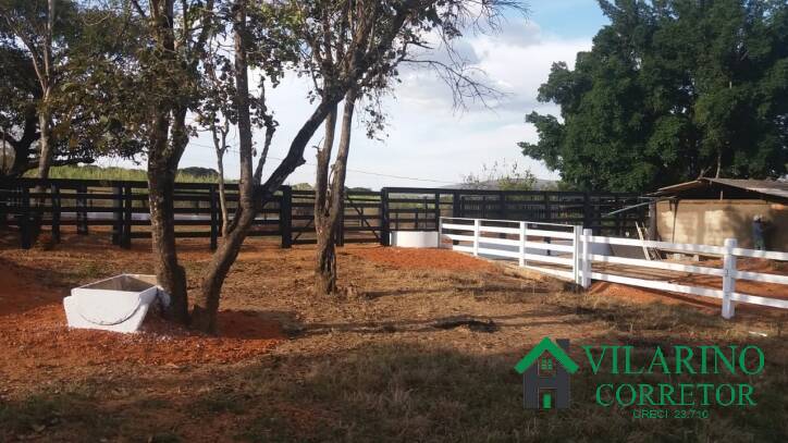 Fazenda à venda com 3 quartos, 800m² - Foto 12