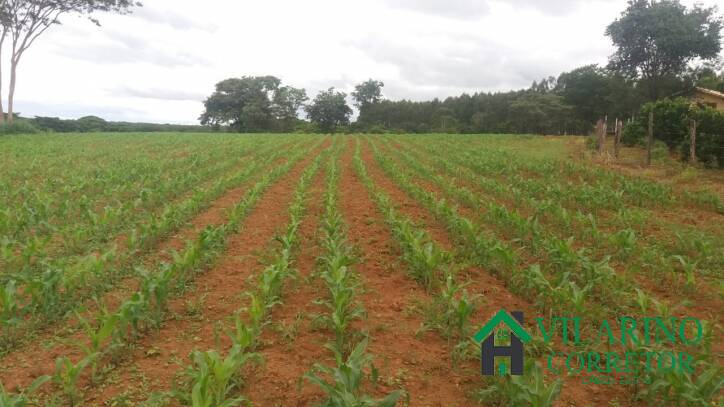 Fazenda à venda com 3 quartos, 800m² - Foto 22