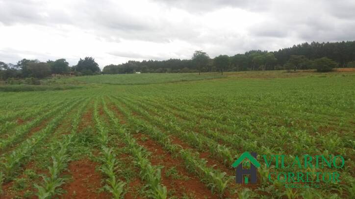 Fazenda à venda com 3 quartos, 800m² - Foto 38