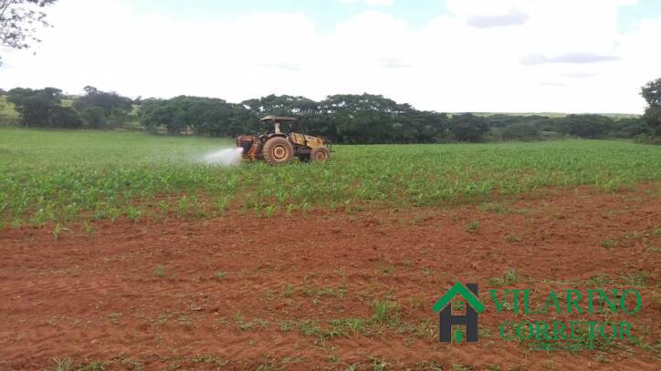 Fazenda à venda com 3 quartos, 800m² - Foto 33