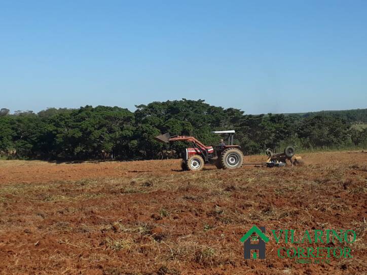 Fazenda à venda com 3 quartos, 800m² - Foto 60