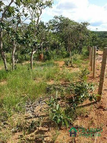 Terreno à venda, 20m² - Foto 5