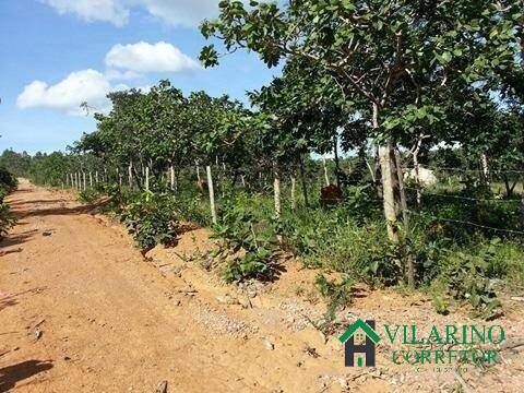 Terreno à venda, 20m² - Foto 4