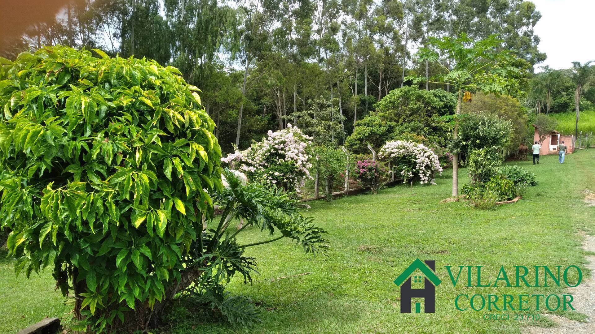 Fazenda à venda com 6 quartos, 400m² - Foto 23