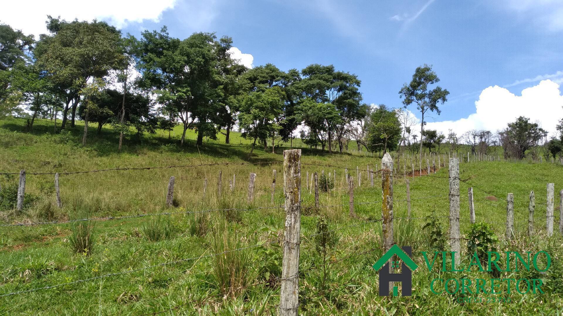 Fazenda à venda com 6 quartos, 400m² - Foto 25