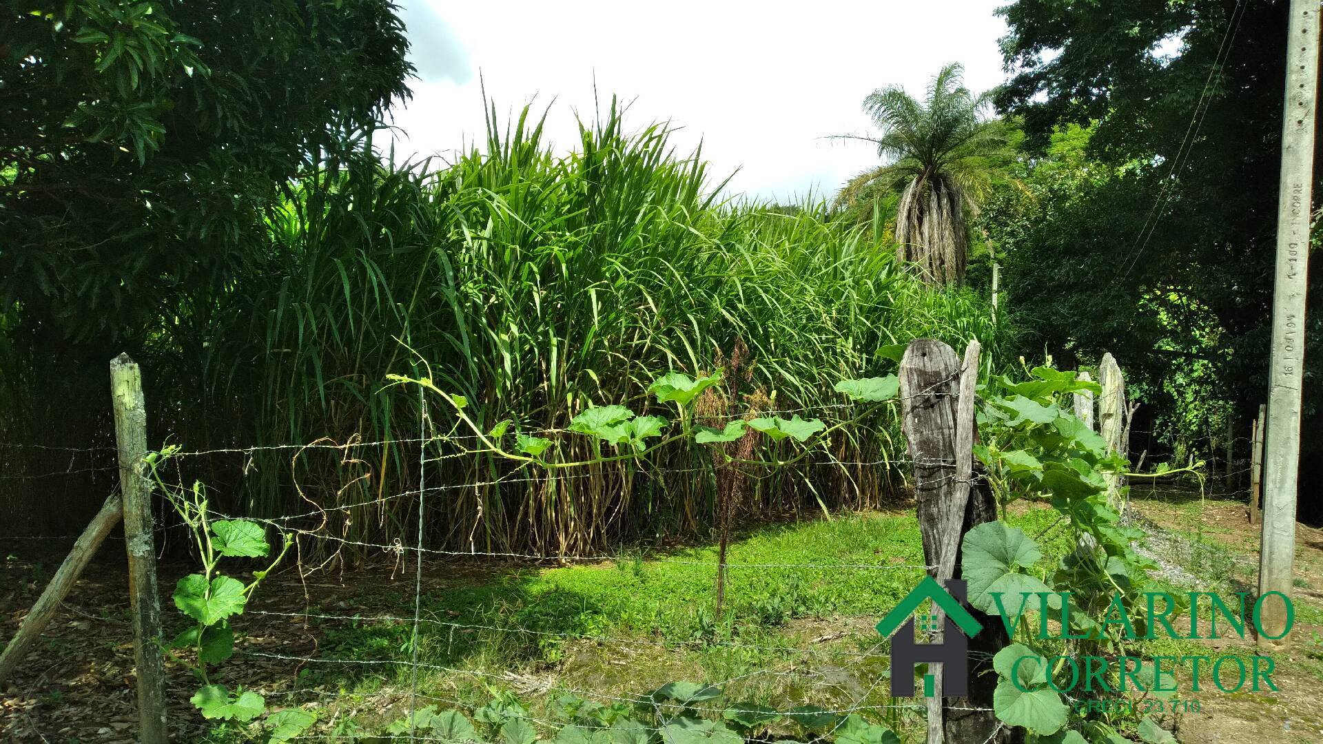 Fazenda à venda com 6 quartos, 400m² - Foto 34