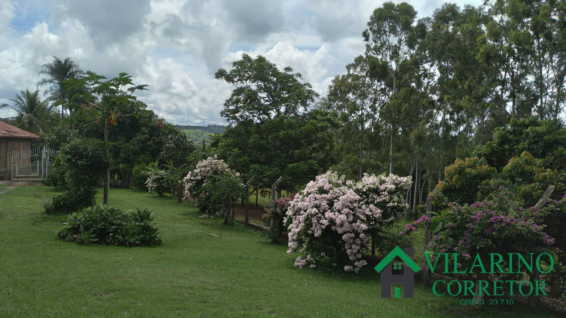 Fazenda à venda com 6 quartos, 400m² - Foto 52