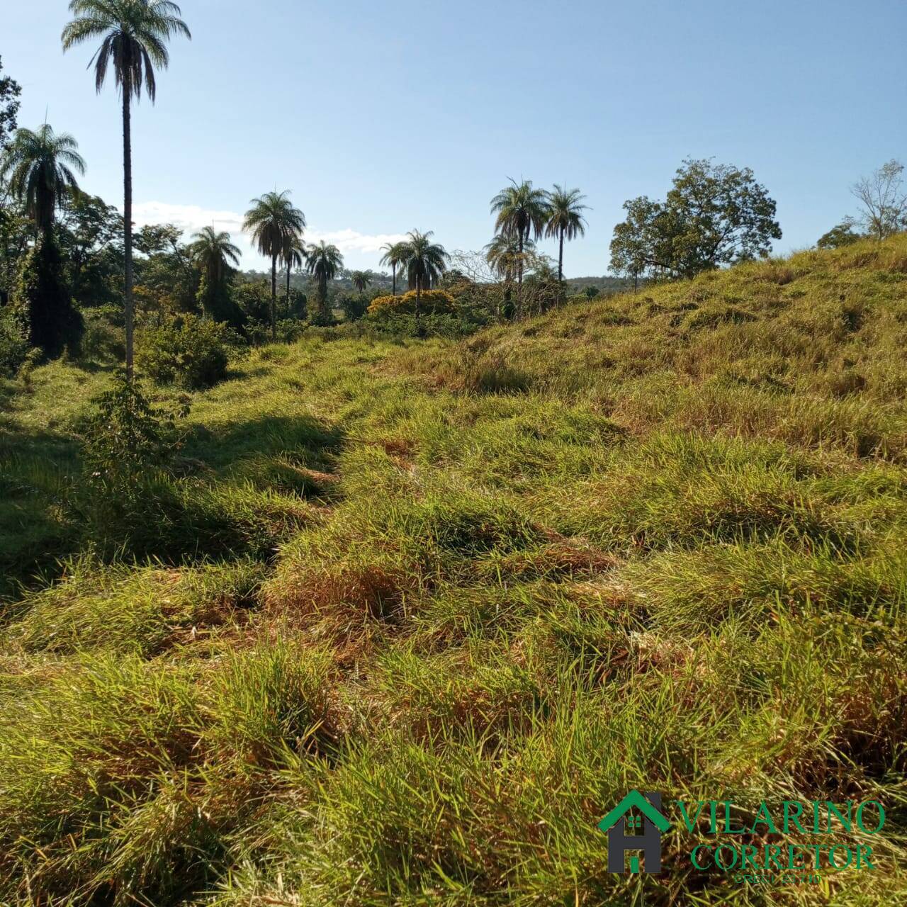 Terreno à venda, 20000m² - Foto 10