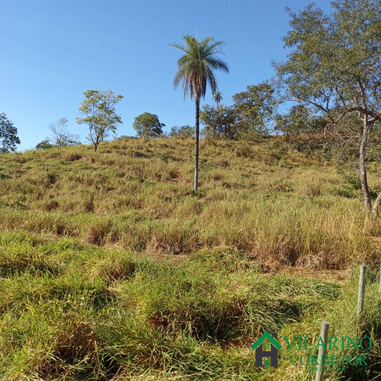 Terreno à venda, 20000m² - Foto 12