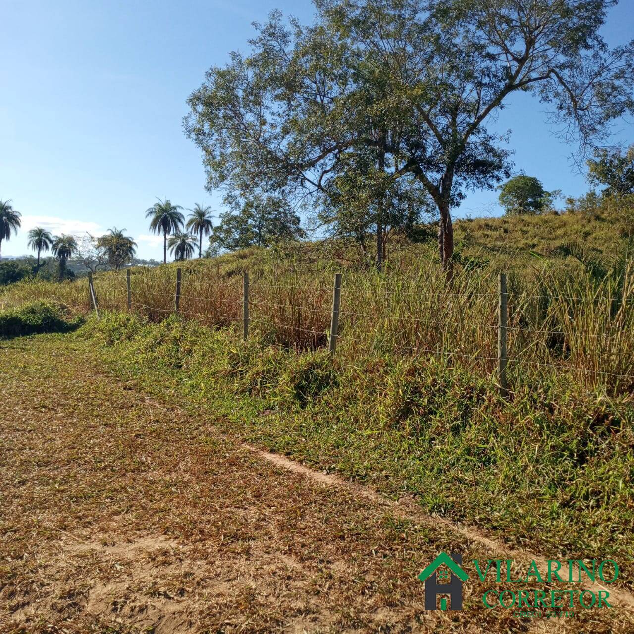 Terreno à venda, 20000m² - Foto 13