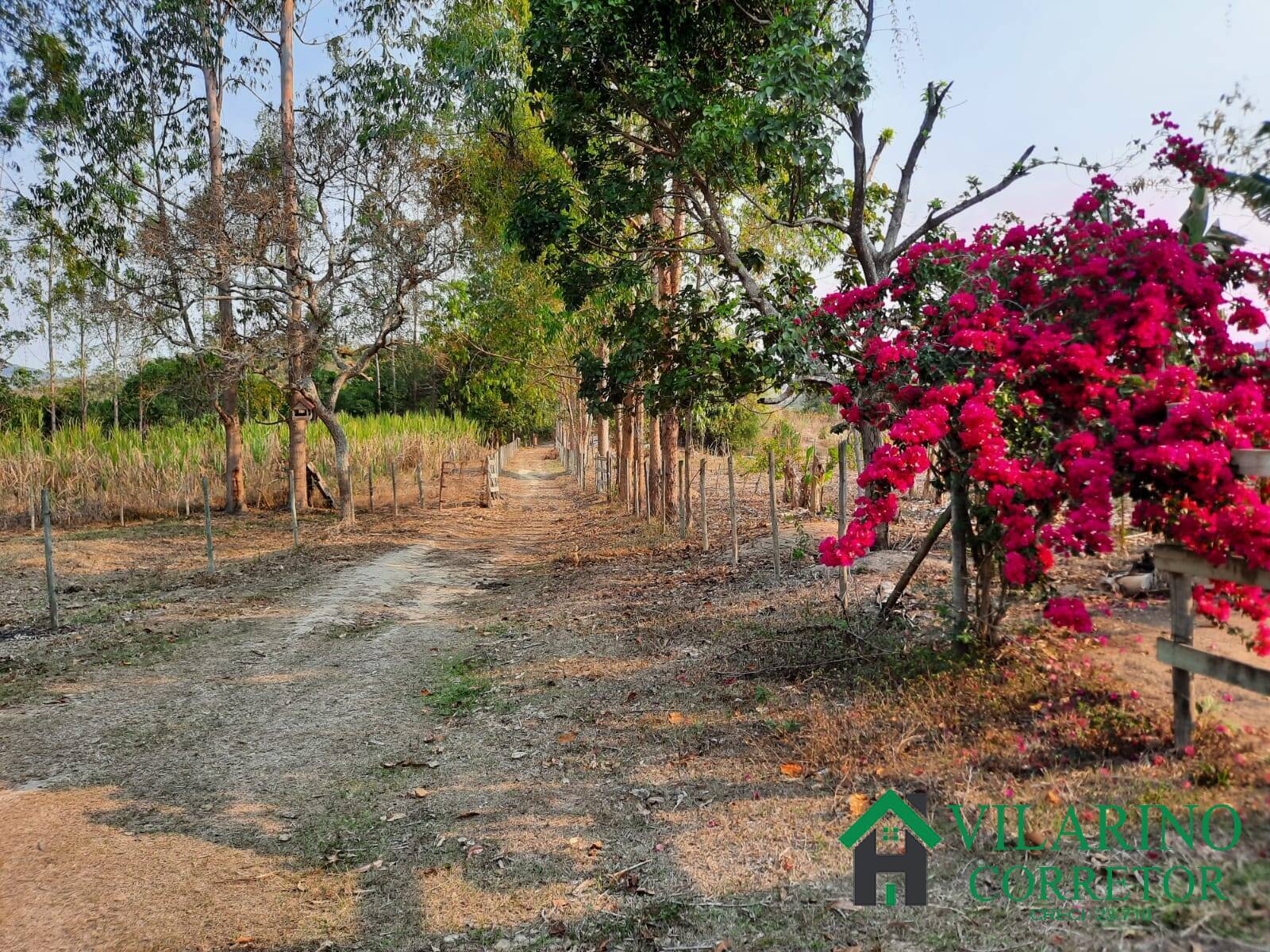 Fazenda à venda com 4 quartos, 400m² - Foto 3