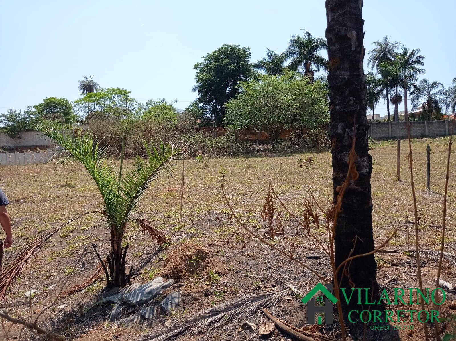 Terreno à venda, 1000m² - Foto 10