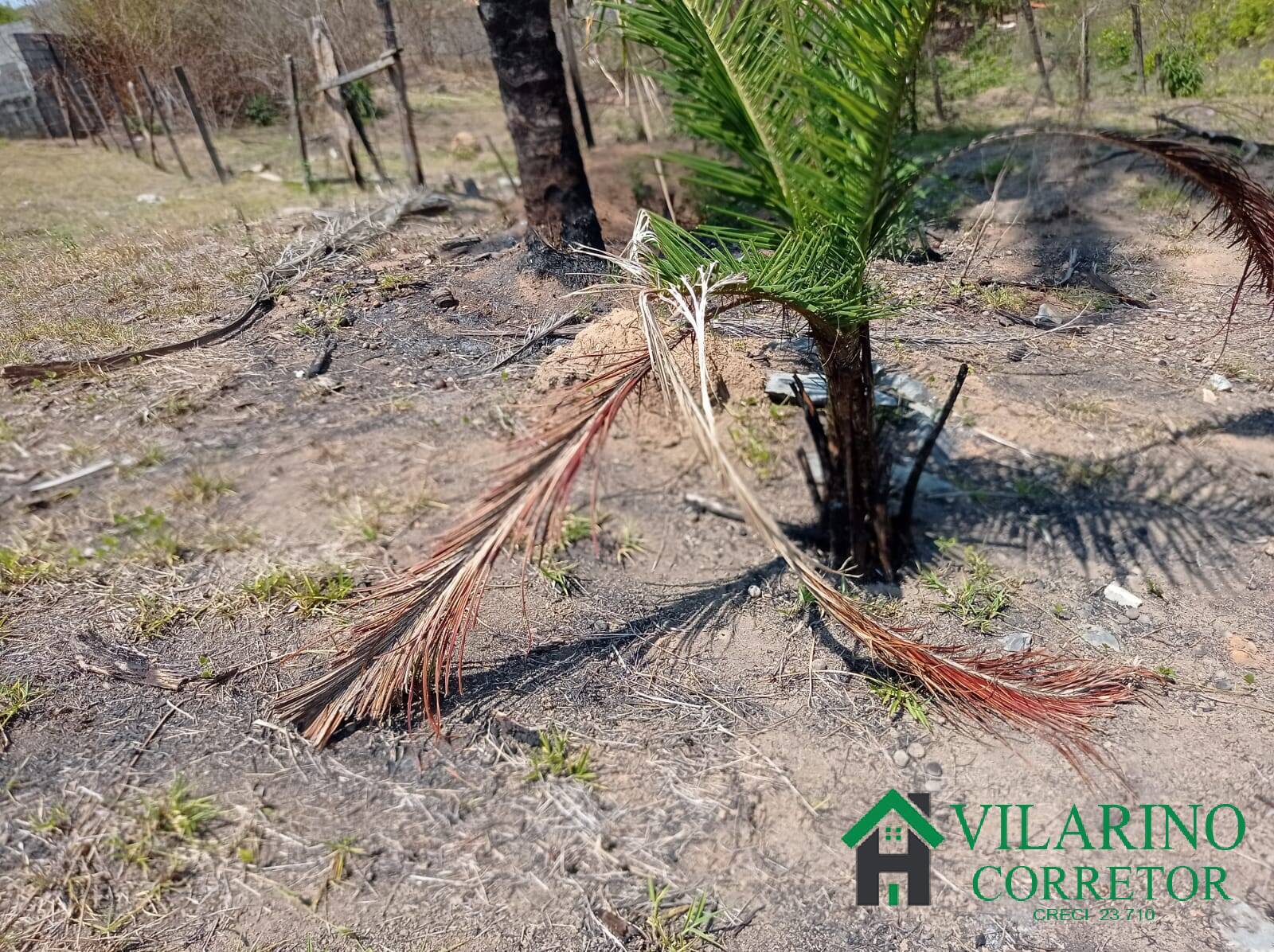 Terreno à venda, 1000m² - Foto 11