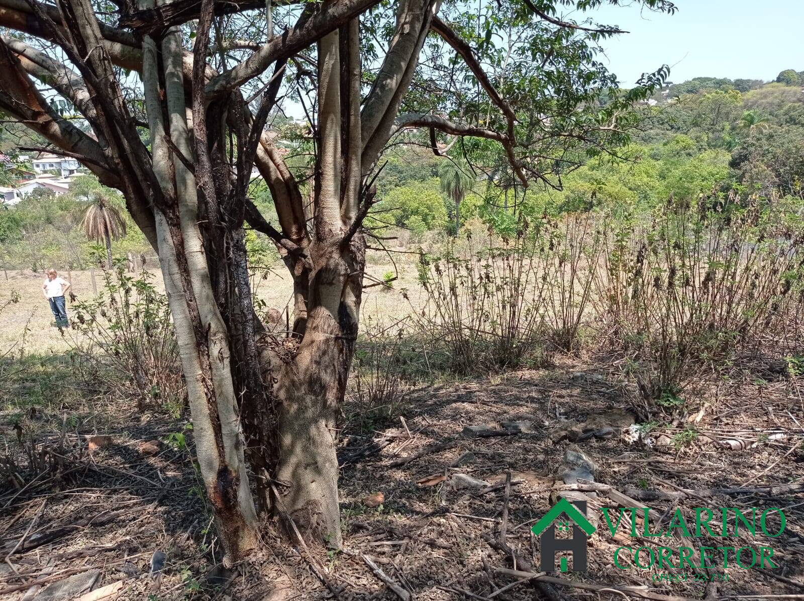 Terreno à venda, 1000m² - Foto 17