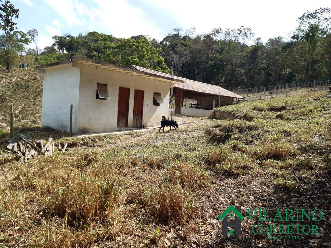 Fazenda à venda com 4 quartos, 400m² - Foto 4