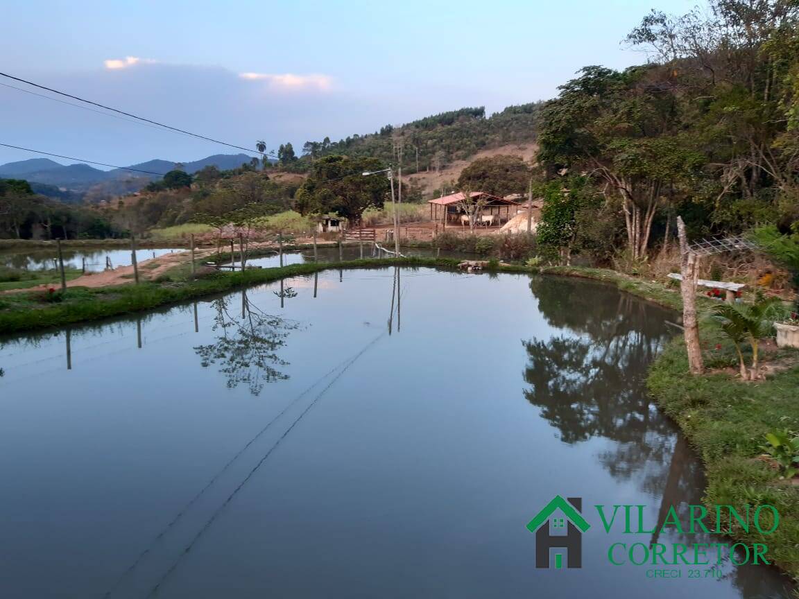 Fazenda à venda com 4 quartos, 400m² - Foto 17