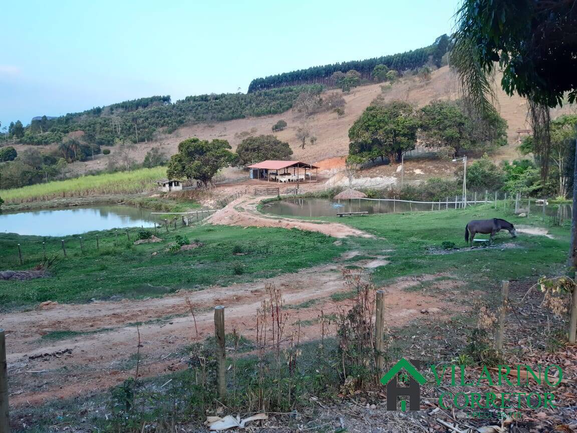 Fazenda à venda com 4 quartos, 400m² - Foto 22