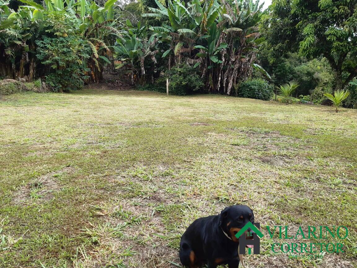 Fazenda à venda com 4 quartos, 400m² - Foto 32