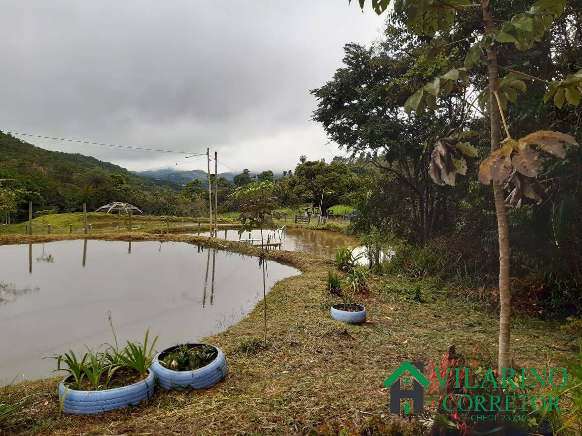 Fazenda à venda com 4 quartos, 400m² - Foto 39