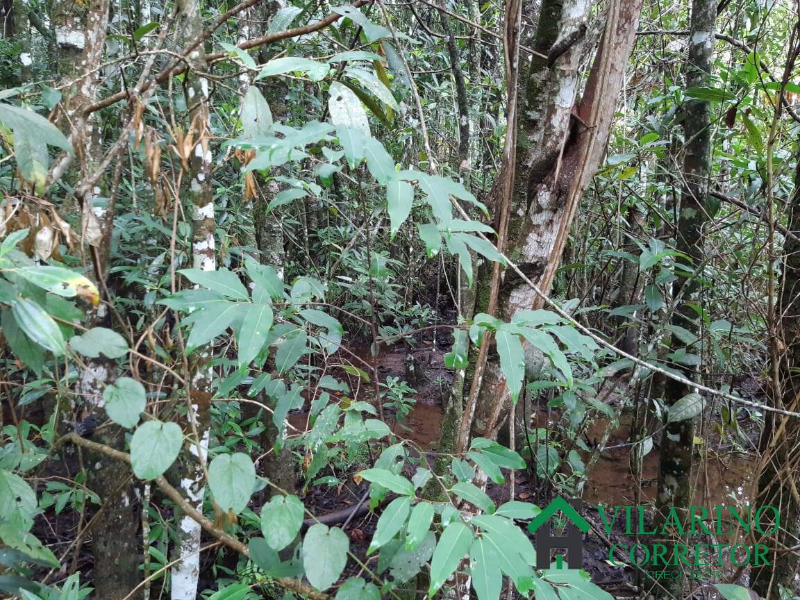 Fazenda à venda com 4 quartos, 400m² - Foto 41