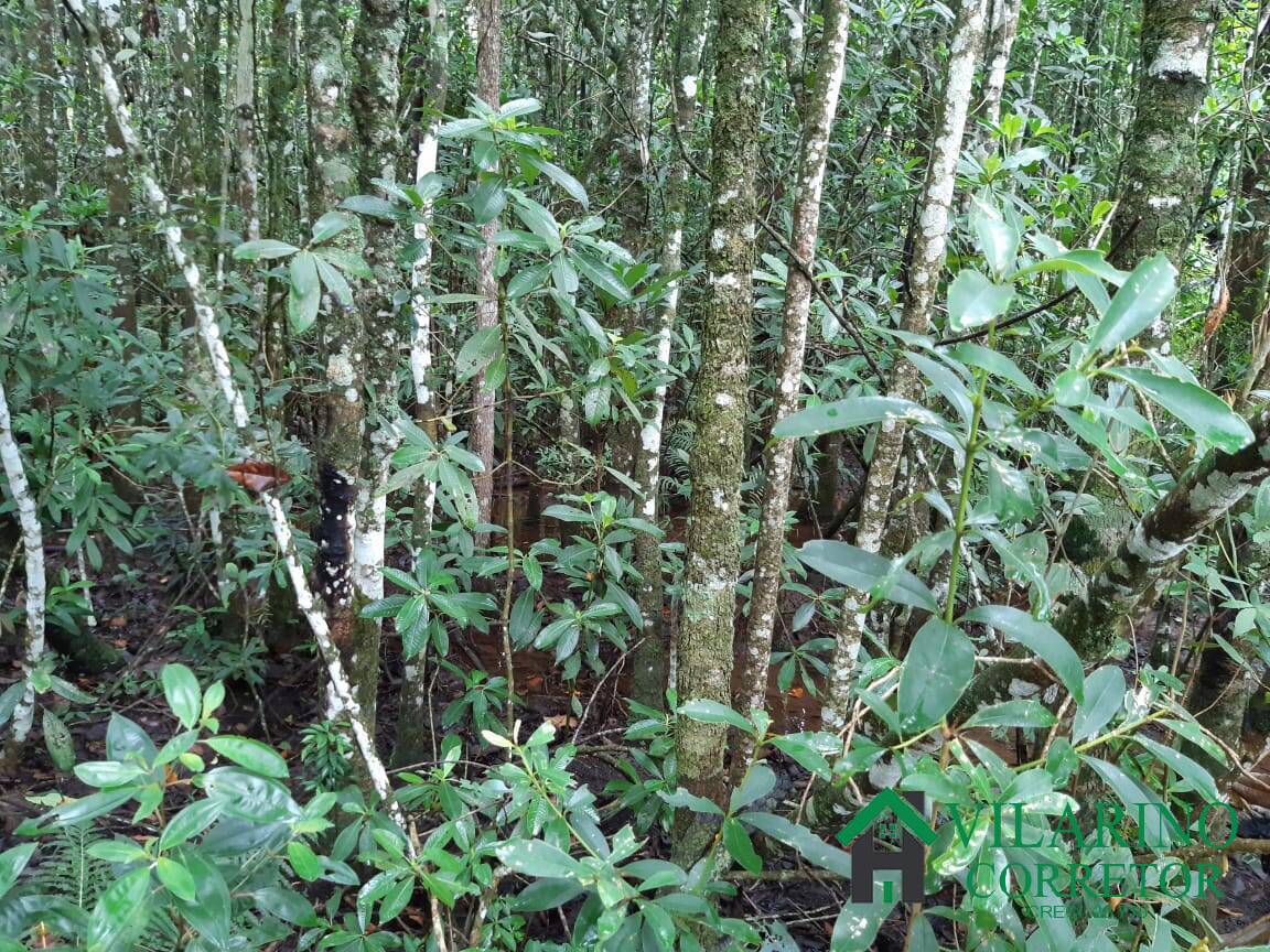 Fazenda à venda com 4 quartos, 400m² - Foto 46