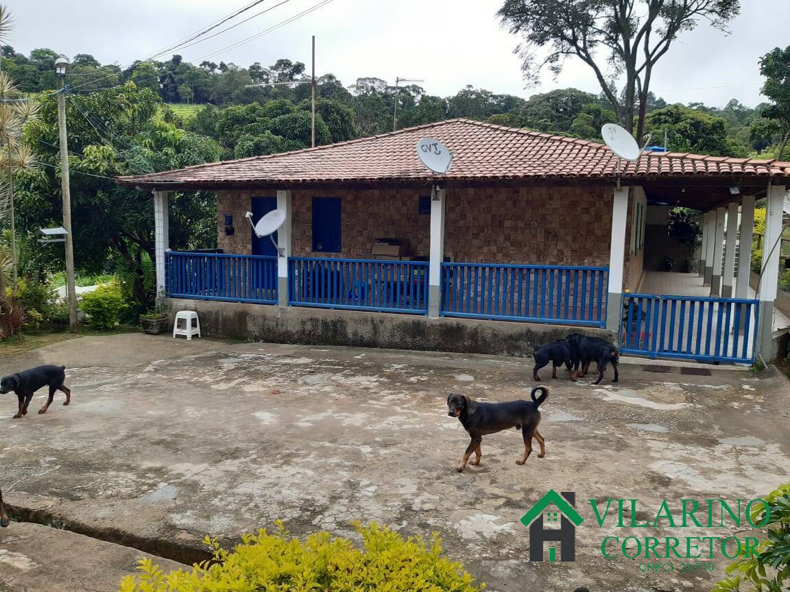 Fazenda à venda com 4 quartos, 400m² - Foto 50