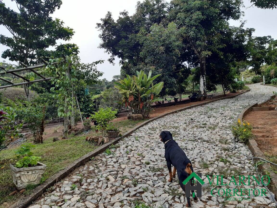 Fazenda à venda com 4 quartos, 400m² - Foto 52