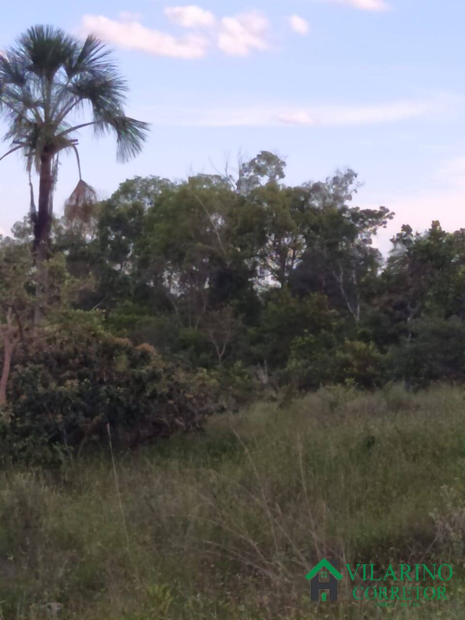 Fazenda à venda com 2 quartos, 300m² - Foto 9