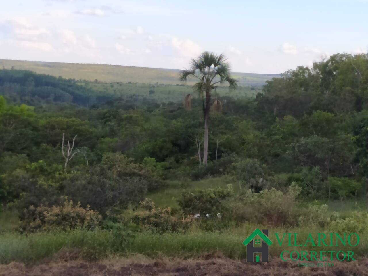 Fazenda à venda com 2 quartos, 300m² - Foto 1