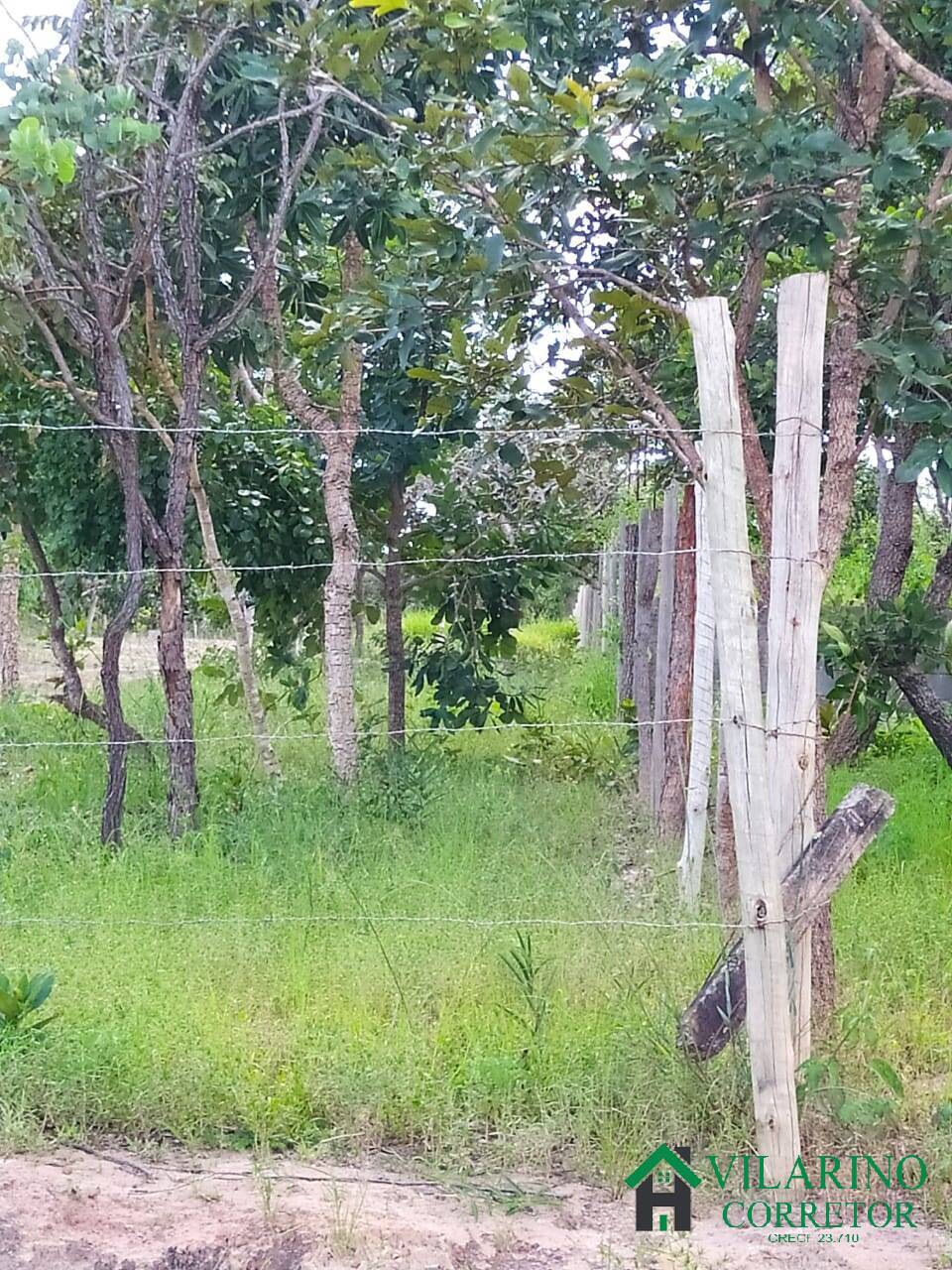 Fazenda à venda com 2 quartos, 300m² - Foto 3