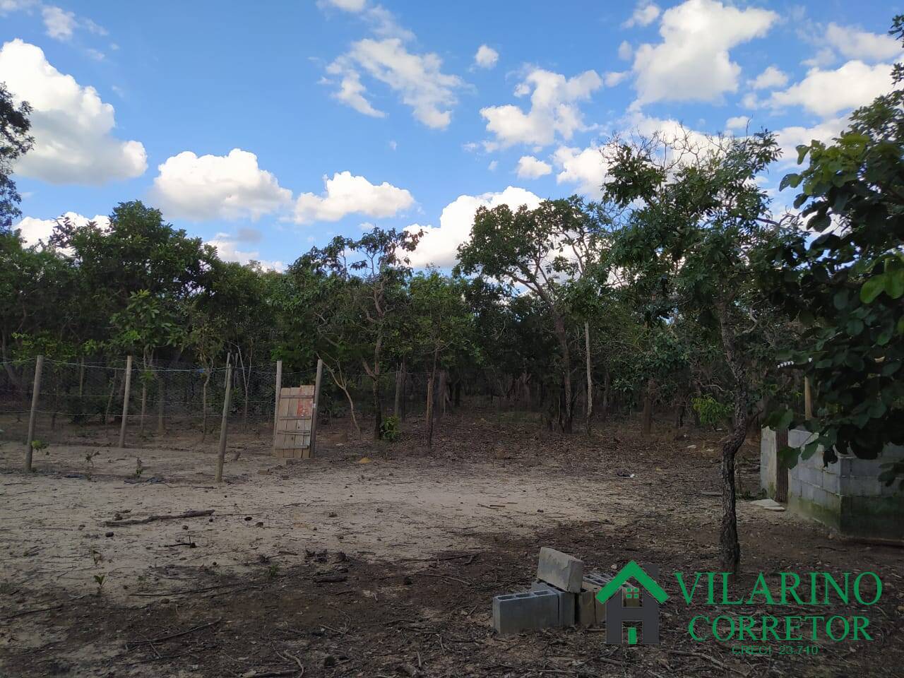 Fazenda à venda com 2 quartos, 300m² - Foto 10