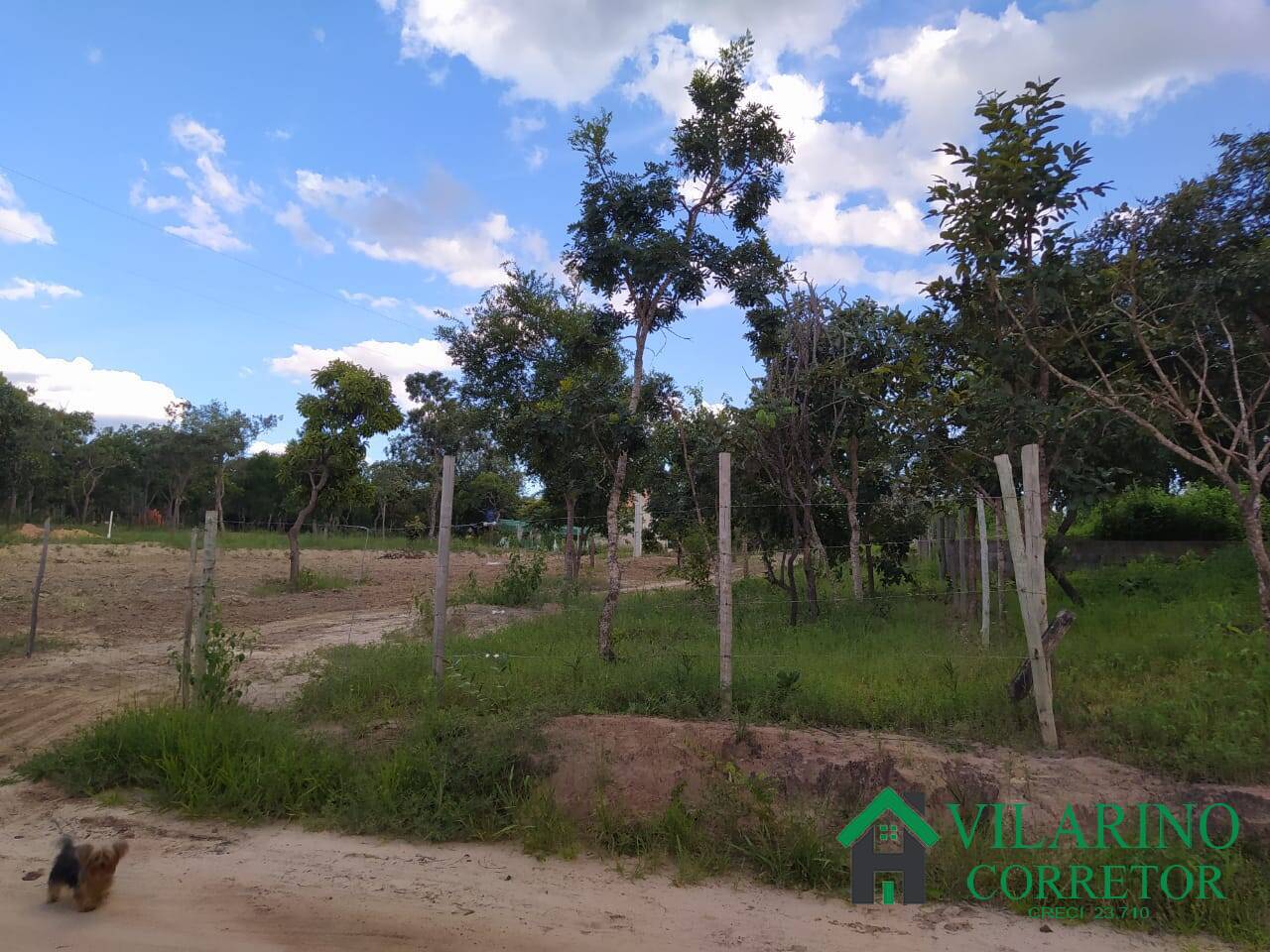 Fazenda à venda com 2 quartos, 300m² - Foto 11