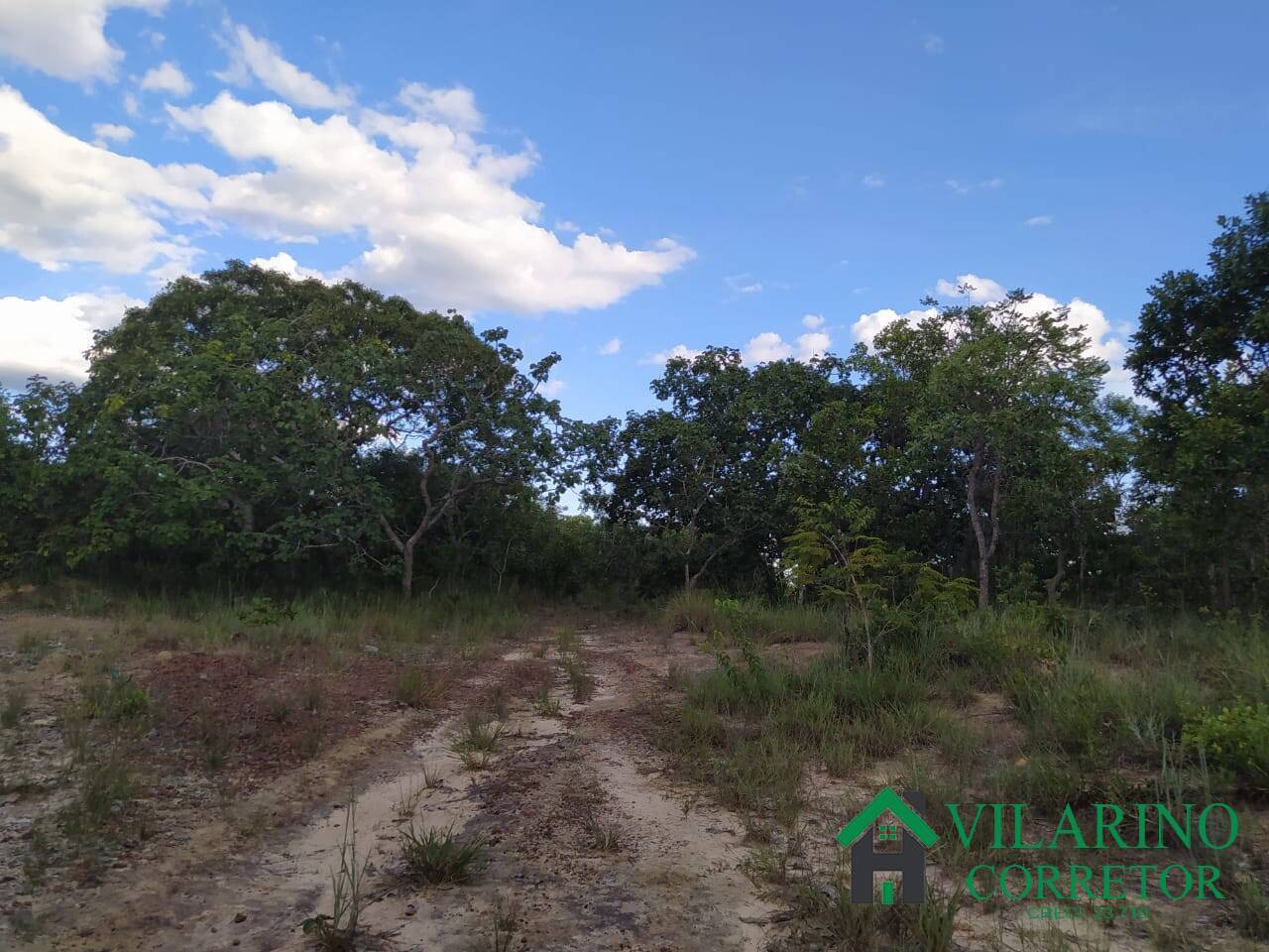 Fazenda à venda com 2 quartos, 300m² - Foto 12