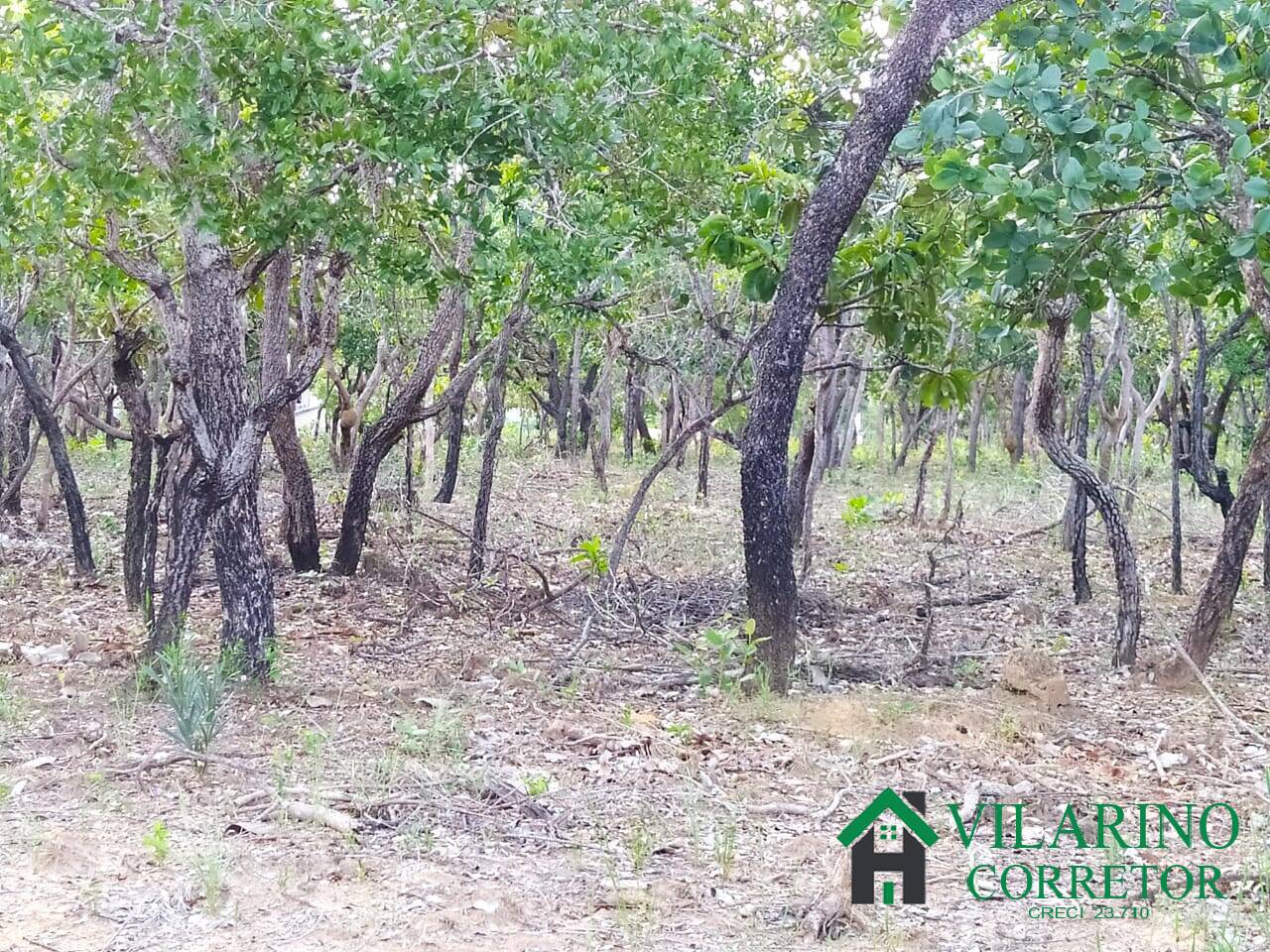 Fazenda à venda com 2 quartos, 300m² - Foto 13