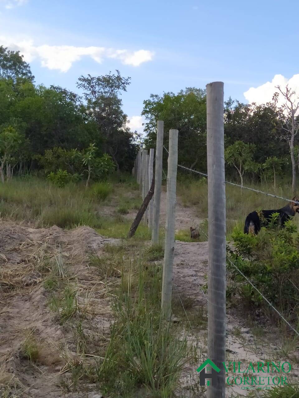 Fazenda à venda com 2 quartos, 300m² - Foto 17