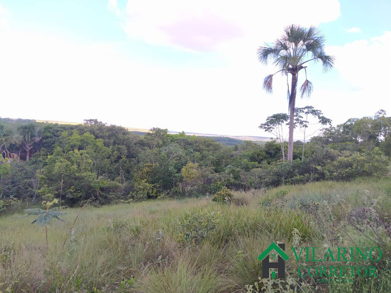 Fazenda à venda com 2 quartos, 300m² - Foto 20