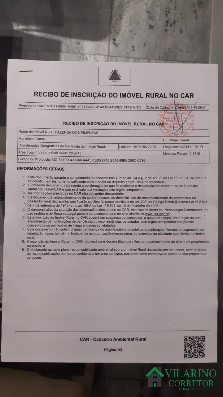 Fazenda à venda com 4 quartos, 400m² - Foto 76