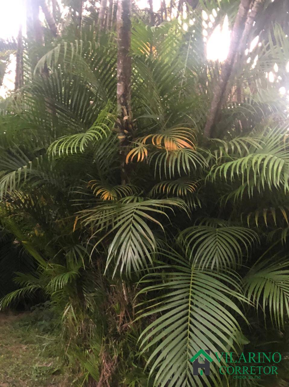 Fazenda à venda com 4 quartos, 200m² - Foto 18