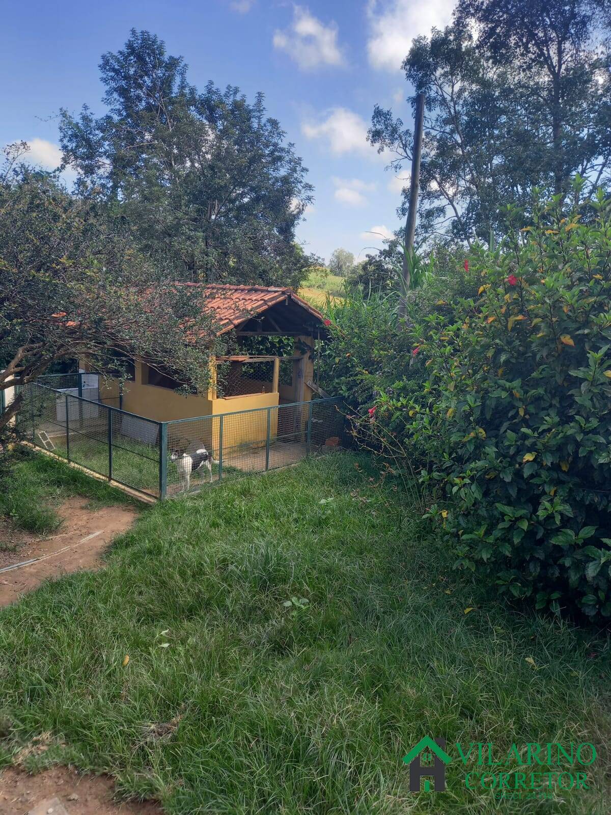 Fazenda à venda com 3 quartos, 200m² - Foto 4