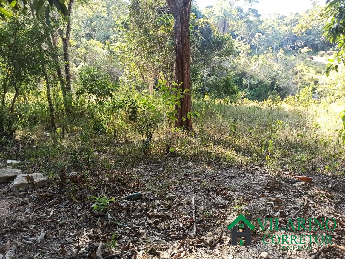 Fazenda à venda com 2 quartos, 70m² - Foto 29