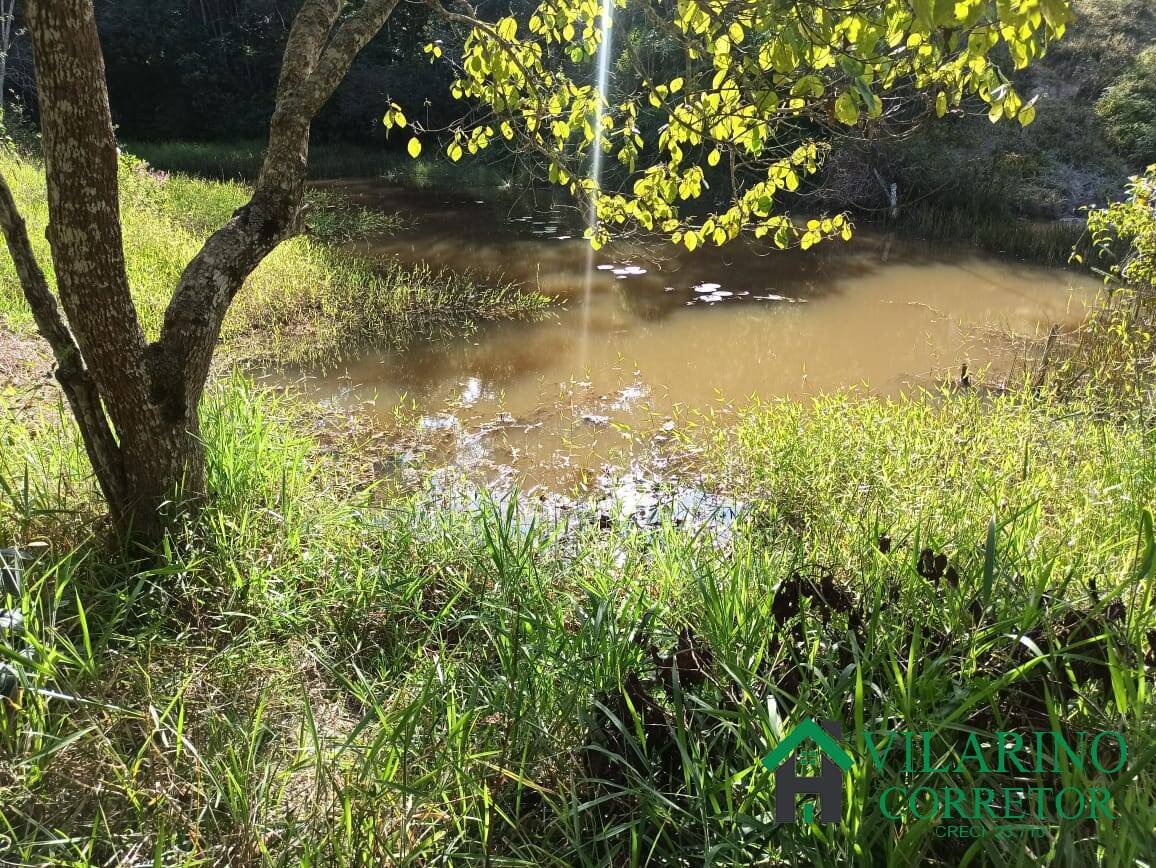 Fazenda à venda com 2 quartos, 70m² - Foto 30