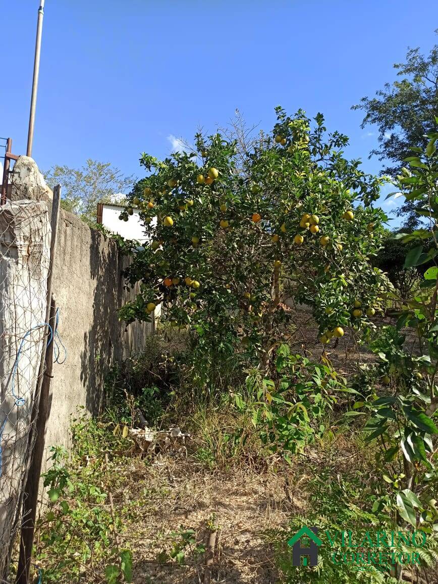 Fazenda à venda com 2 quartos, 70m² - Foto 36