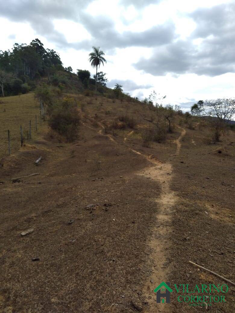 Fazenda à venda com 3 quartos, 46m² - Foto 10